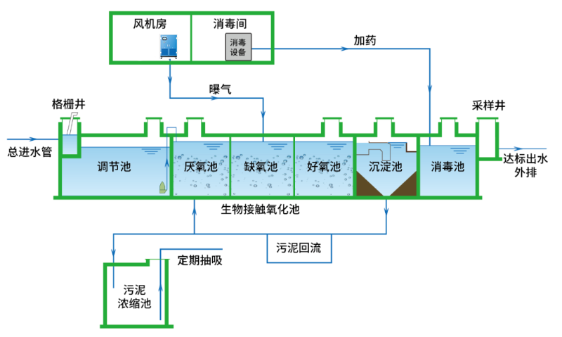 圖片5